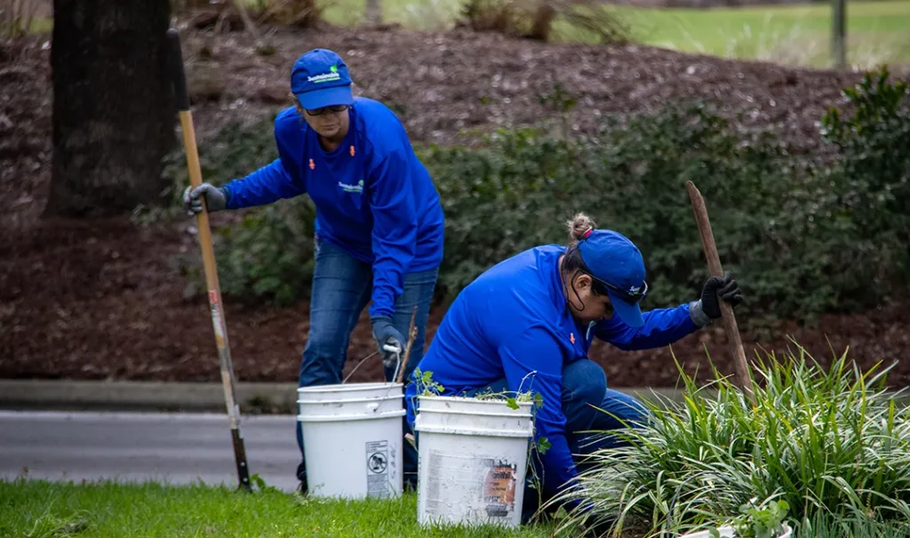 Landscaping workers cleanup near a curb, with two white buckets of plants and hand tools in the foreground.
