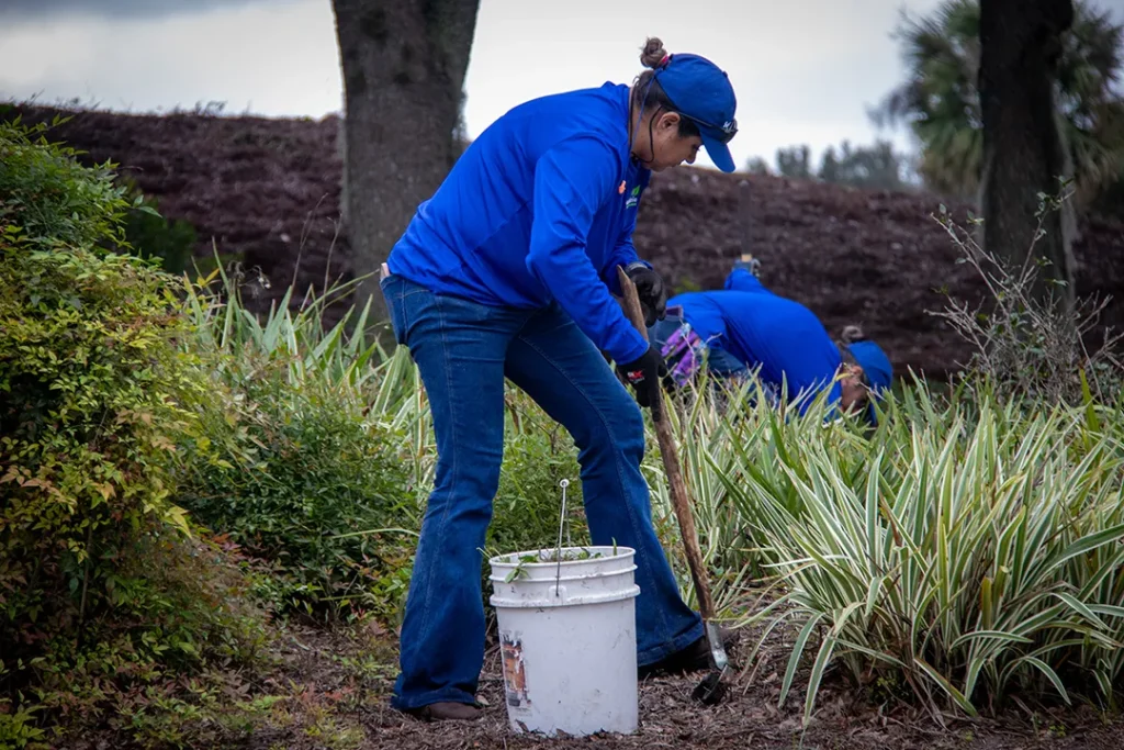 Outdoor maintenance worker breaks ground with a shovel in a planting bed, framed by greenery and other crew members working nearby.