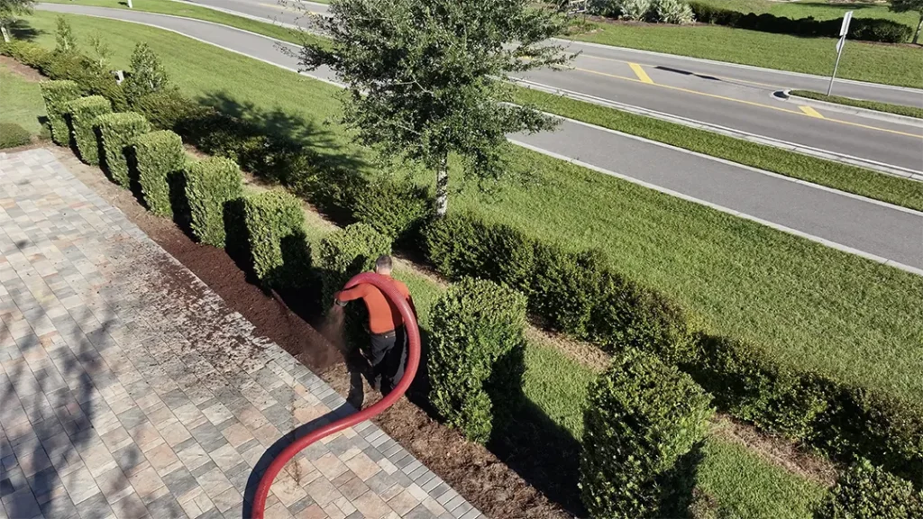 Aerial view of a worker using a large red hose to blow mulch into a planting bed along a row of neatly trimmed hedges beside a paved walkway.