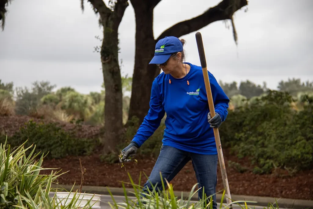 Close view of a landscaper cleaning up a mulched bed, grabbing weeds with one hand and resting a tool on the other.