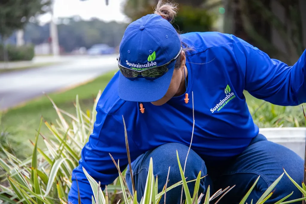 Sustainable Landscape Management team member working in a landscaped planting bed